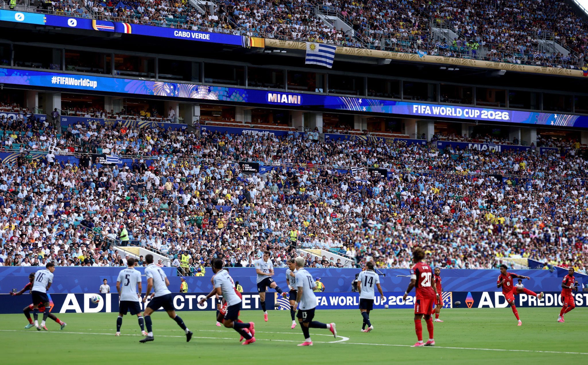 world cup